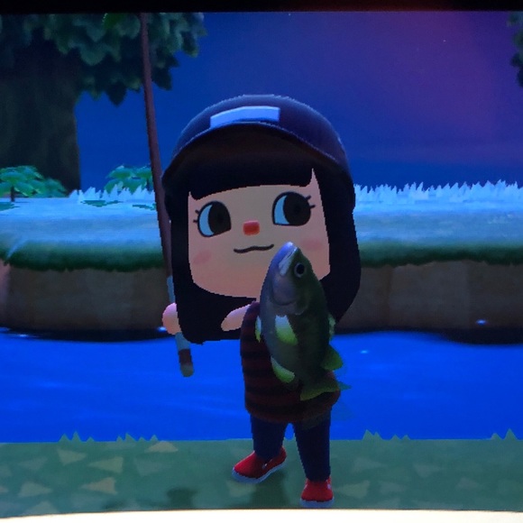 Meet your Posher, Simone - Picture 1 of 1